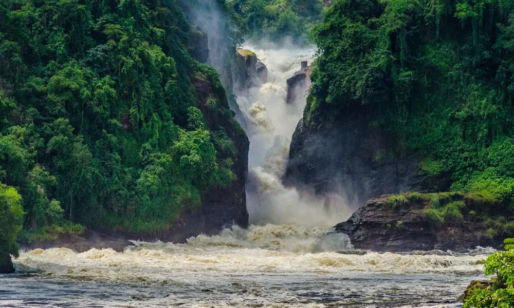murchison-falls